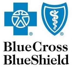 Companies represented by Minnesota Insurance Services_Blue Cross Blue Shield
